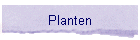 Planten